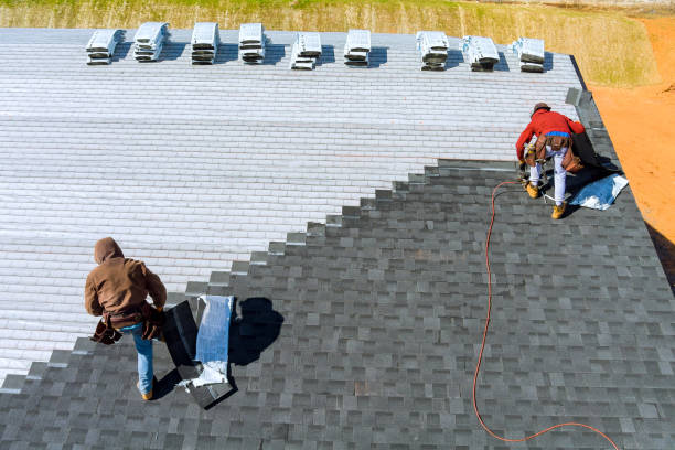 Best Storm Damage Roof Repair  in Weaver, AL